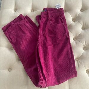 Empyre Magenta Corduroy Pants